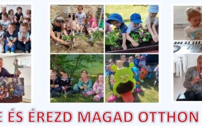 Rugalmas napközbeni gyermekfelügyelet Érden!