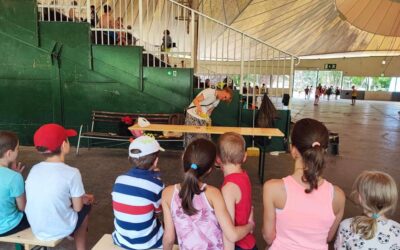 Tudományos tábor 2023