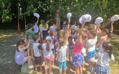 Szülők Háza Nyári Tábor 1. – Meseerdő